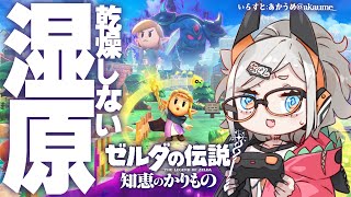 #9 【ゼルダの伝説 知恵のかりもの】乾燥がひどいのデ、湿原にいきまス【にじさんじ/レヴィ・エリファ】