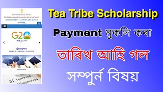 Tea Tribe Scholarship Payment 2025 ||Full Video