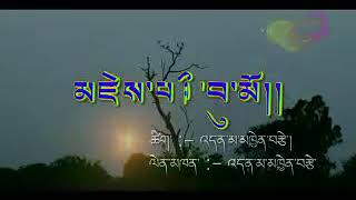 tibetan song  འདན་མ་མཁྱེན་བརྩེ།   dhanma khyentse