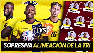 La ALINEACION de ECUADOR vs PAISES BAJOS en VIVO !!