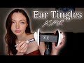 All the Ear Tingles ASMR