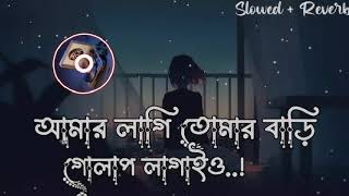 আমার লাগি তোমার বাড়ি গোলাপ লাগাই ও | TikTok Trend Song | সোনার তরী | TaFsir Sharon | LO - Song