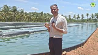 Commercial Spirulina Farming consultants - GreenBubble Algae Solutions