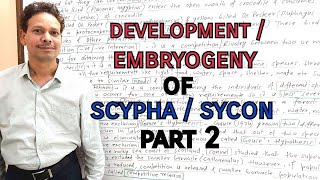 Development / Embryogeny in Sycon / Scypha | Part 2 | | For IAS,NEET,GATE,NET and BSc