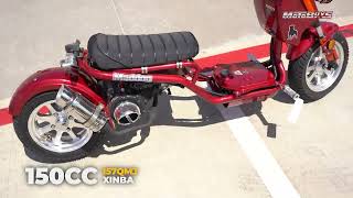 Ice Bear Maddog (Rukus Style) 150cc Scooter | Motobuys.com