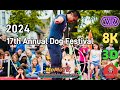 【360° VR】17th Annual San Francisco Dog Festival - 2024 SF DogFest - 8K 3D 360 VR Video