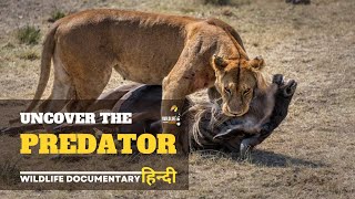 Uncover the Predator - हिन्दी डॉक्यूमेंट्री | Discovery channel Hindi documentary, Full Episode