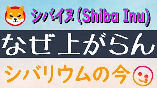 【シバイヌ（Shiba Inu）】なぜ価格が上昇しない？調べてみた【仮想通貨】原因はシバリウム⁉