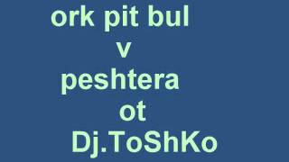 ork pit bul 2012 v peshtera za plamen 2