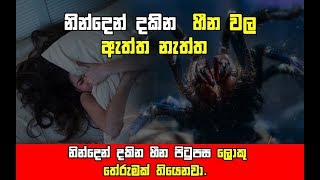 Dreams - නින්දෙන් දකින හීන වල තේරුම