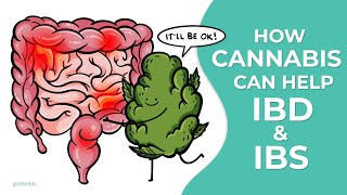 Relieve the Excruciating Symptoms of IBD and IBS with Medical Cannabis
