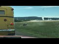 Crazy Buffalo Attacks car