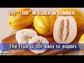 Do you Know KOREAN MELON?