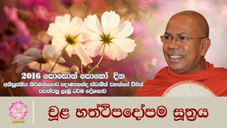 චූළ හත්ථිපදෝපම සූත්‍රය | 2016  පොසොන් පොහෝ දින ධර්ම දේශණය | Shraddha TV