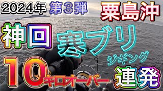 釣果爆発‼️2024年寒ブリジギング。粟島沖で大型ブリが連発！山形新潟沖にブリの群れがやってきた。