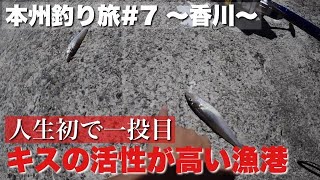 【本州釣り旅#7 ~香川~】キスが釣れてる漁港に行ったら速攻釣れた…。　［シーバス］［チヌ］