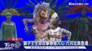 音樂劇獅子王六月開演 團隊陸續抵台｜TVBS新聞