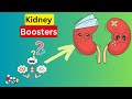 Top 10 Foods for Kidneys: Best Diet for Kids with Kidney Disease - Easy & Nutritious Choices!