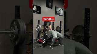 365lbs Bench Press single