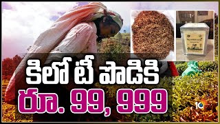 కిలో టీ పొడికి రూ. 99, 999 | KG Tea Powder Price 99,999 In Assam | Manohari Gold Tea Powder | 10TV