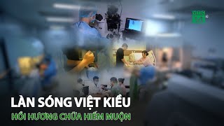 Làn sóng Việt kiều hồi hương chữa hiếm muộn | VTC14