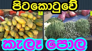 #කැලෑ #පොල kela pola srilanka