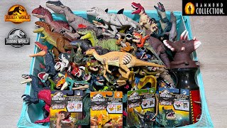 Colossal Box of Jurassic World Dominion Dinosaurs! Giganotosaurus, Atrociraptor, Indoraptor