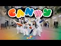 [K-POP IN PUBLIC] Candy (NCT Dream) by Radixtiøn Crew