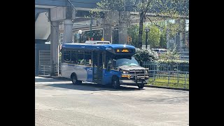 TransLink: 2019 Chevrolet 4500/ARBOC SOM28G (Mobility) on Route 31 River District