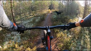 MTB Karlstad, Sörmon. Timelapse