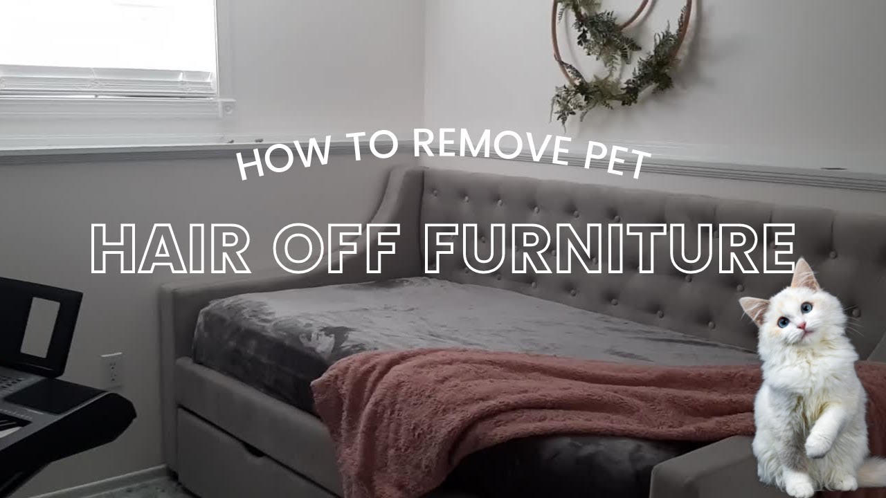 HOW TO REMOVE PET HAIR OFF FURNITURE/UPHOLSTERY THE EASY WAY! - YouTube