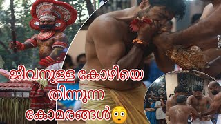 ജീവനുള്ള കോഴിയെ തിന്നുന്ന വീട്ടു കോമരങ്ങളും ബാലകുട്ടി വെള്ളാട്ടവും |Balakuttymoorthi Vellattam |