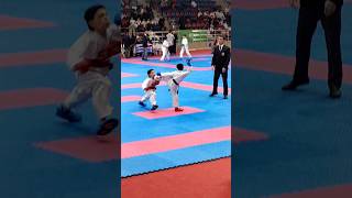 Watch This Karate Fighter Unleash an Epic Waza-ari Kick!