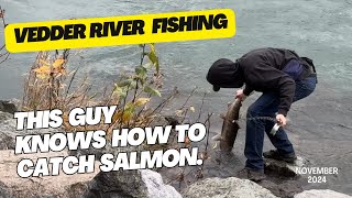 Vedder River Skillful Salmon Fishing. Chilliwack, November 2024.