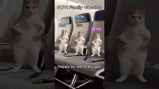 POV family vacations PT 3 |  #cats #funny #relatable #memes #shorts