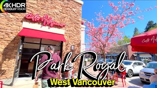 West Vancouver Park Royal Spring Walk 🇨🇦 BC, Canada, Virtual Walking Tour, Travel, [4K HDR 60fps]