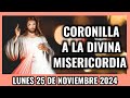 Coronilla a la Divina Misericordia de Hoy. Lunes 25 de Noviembre 2024 - Misericordia