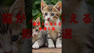 猫が人に与える影響５選 #shorts #雑学 #猫は無条件に可愛い