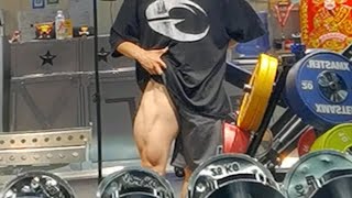 腿 主项 杠铃深蹲 100kg 8次3组（325）