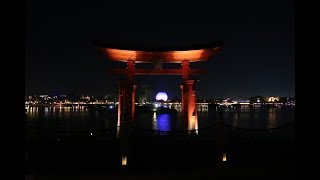 Kyle Went To Japan And Was Amazed By Seahorses