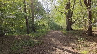 Sunday walk in nature nearby Katwijk aan Zee, the Netherlands. 4k. just walking, no talking.