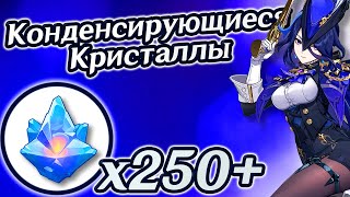 🔴Конденсирующиеся кристаллы🔴Конденсирующиеся кристаллов🔴Геншин 4.7🔴Фонтейн 4.7🔴Клоринда🔴Genshin