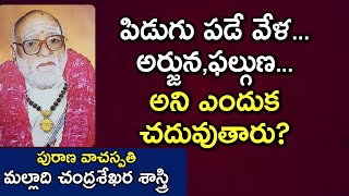 పిడుగు పడే వేళ...అర్జున, ఫల్గుణ... అని ఎందుకు చదువుతారు?| Malladi Chandrasekhara Sastry