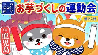 【運動会】みんなで運動会に参加！！ 豆太郎への誕生日サプライズは成功するのか！？【アニメ】