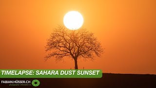 Timelapse: Sunset with sahara dust