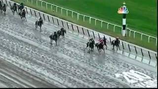 Belmont Stakes 2011 - Ruler on Ice