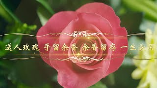 【心灵禅语】送人玫瑰，手留余香，余香留存，一生受用。 | 观世音菩萨心灵法门