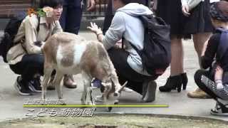 上野動物園 こどもの動物園