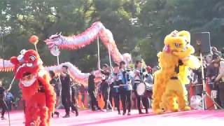 2017 1105四天王寺ワッソ　　獅子舞と龍舞　ピント不良あり