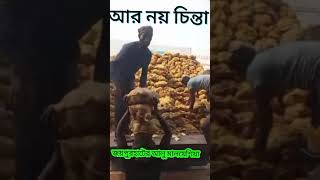 আর নয় চিন্তা জয়পুরহাটের আলু মালয়েশিয়া সৌদি আরব কুয়েত harna Chinta